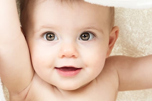 Programas garantizados