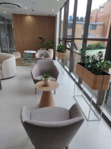 Sala de espera moderna con plantas y sillas.