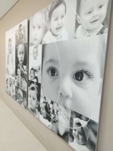 Collages de bebés en blanco y negro en pared.