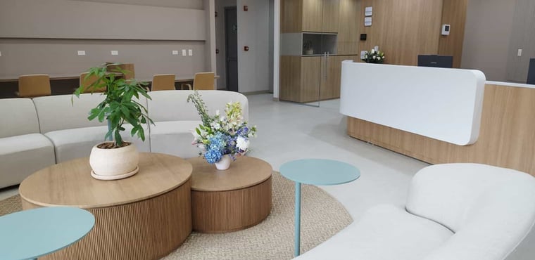 Sala de espera moderna con sofá y plantas.