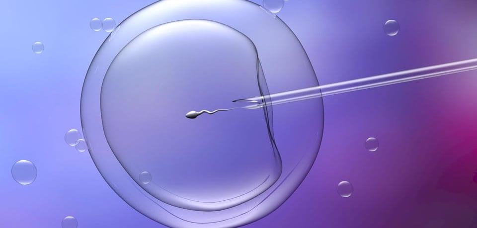 Fecundación InVitro